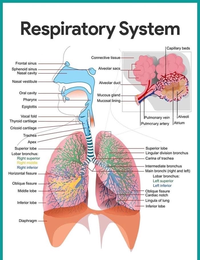 Medical knowledge tweet media