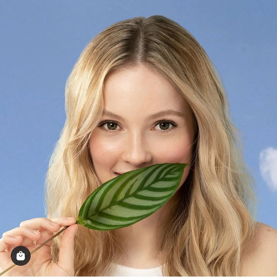 𝓗annah tweet media