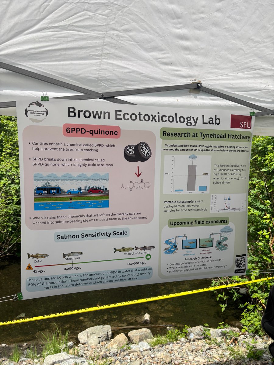 JanetBrown980's tweet photo. Salmon send off in #Tynehead Park in #surrey run by committed volunteers the #surreyfirst team was there great afternoon with the community ⁦@SWRBOT⁩ ⁦@sportfishingbc⁩ ⁦@Fraserhealth⁩ #lindaannis https://t.co/FN4IZ04S19