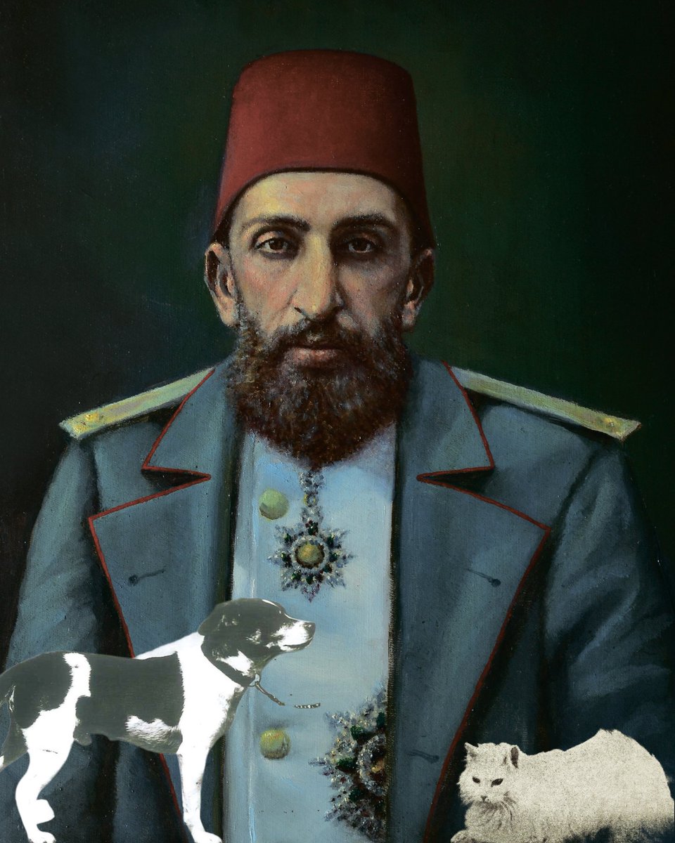 DeMir tweet media
