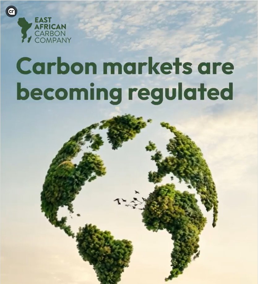 EACC_global's tweet photo. The carbon market is evolving.
Under Article 6 of the Paris Agreement, nations are formalising how credits are authorised, traded &amp; counted toward climate targets, a shift from voluntary offsets to national climate infrastructure.
Full post on LinkedIn: https://t.co/EhGh1FwsbH https://t.co/v6918PXzIC