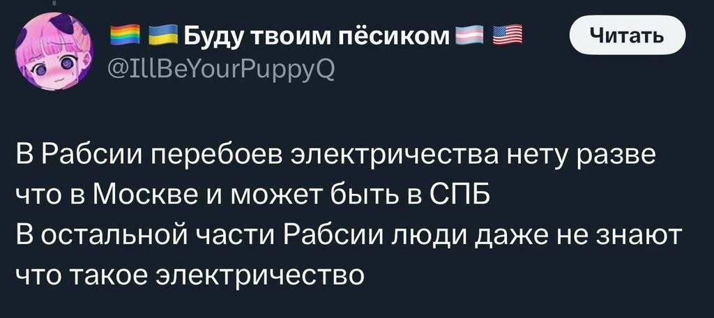 Добрыня Никитич tweet media