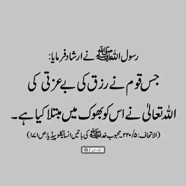 Sadia Rajpoot ⚡ tweet media