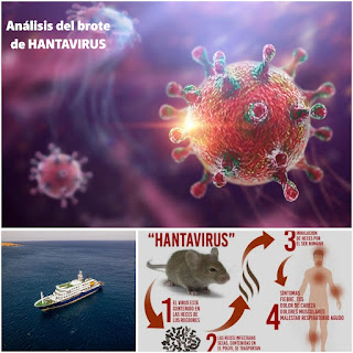jgdd's tweet photo. Pediatría Basada en Pruebas: Análisis del brote de hantavirus: del periodismo a la ciencia https://t.co/N37mW6SKwl https://t.co/LwQypij8Dv