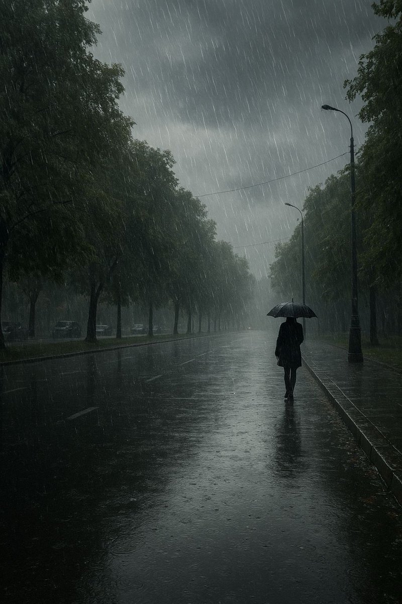spooky_nature's tweet photo. when i say i love rain, THIS is what i mean https://t.co/qEUuRw5NVr