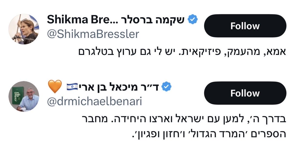 Ofir Dayan אופיר דיין tweet media