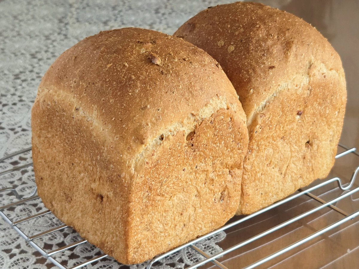 NociXx's tweet photo. 大体はこんな地味パンばかり焼いてます🍞
全粒粉食パンの胡桃入り
トーストするとサクサク美味しい

#パン #パン作り #手作りパン #おうちパン #パン教室 #ホームベーカリー #全粒粉 #全粒粉食パン #食パン #くるみ #クルミ https://t.co/WOHiDu2UQL