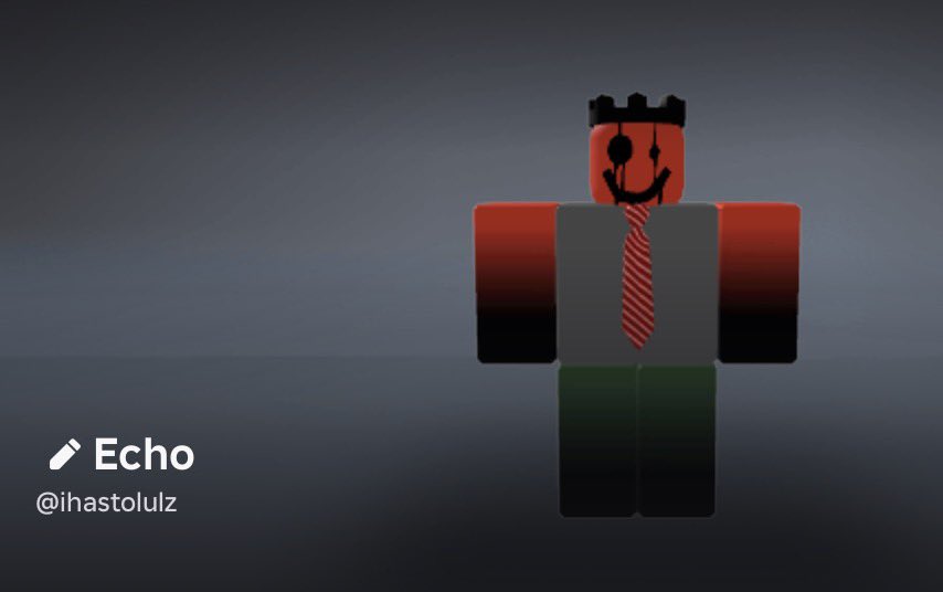 Echo tweet media