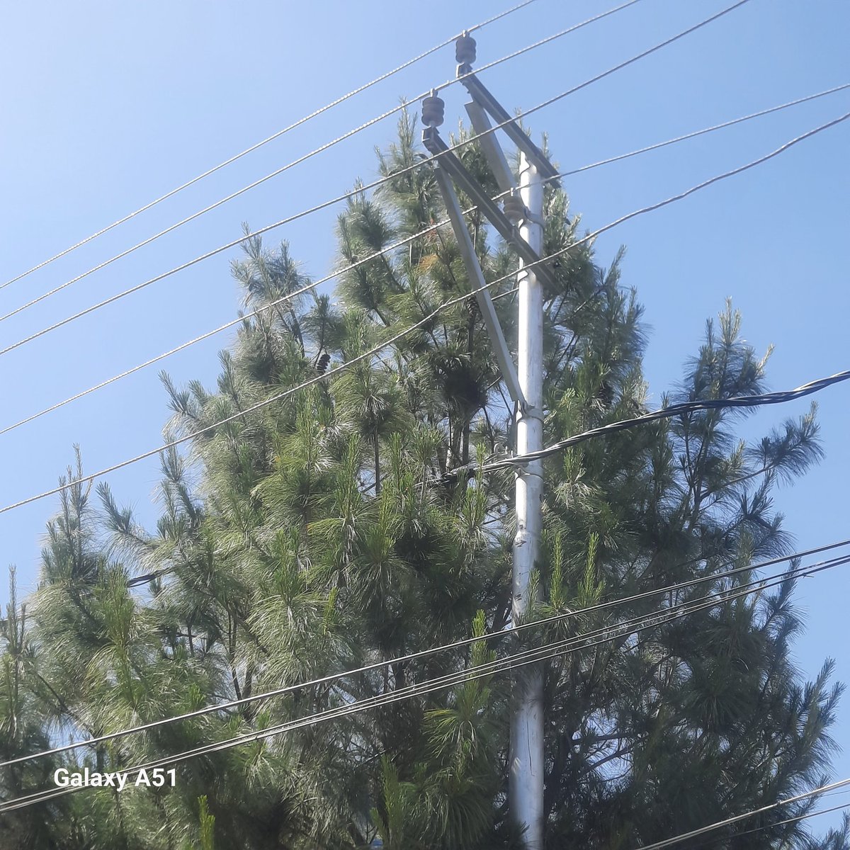 acceptpeace's tweet photo. ⚠️ Urgent safety concern: Outside House No. 260, #GulbergColony, #Sector 2, #Hyderpora, the HT line is touching a pine tree, creating a serious danger. Kindly arrange immediate branch cutting to prevent any accident. @kpdcloffice @sdobaghat
@std_ist @cekpdcl https://t.co/y5zzoW6N5Y