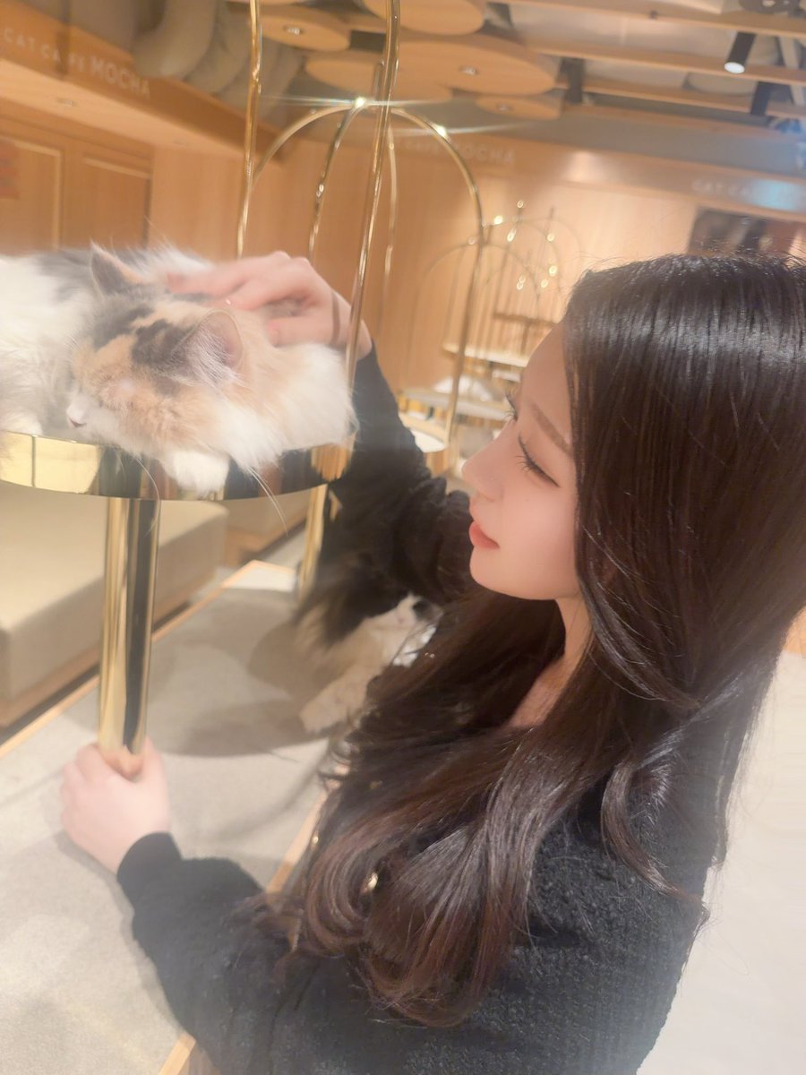 _love413_'s tweet photo. 大阪で友達できた嬉し(๑ ́ᄇ`๑)
猫カフェデートした😸 https://t.co/VLznYJacHx