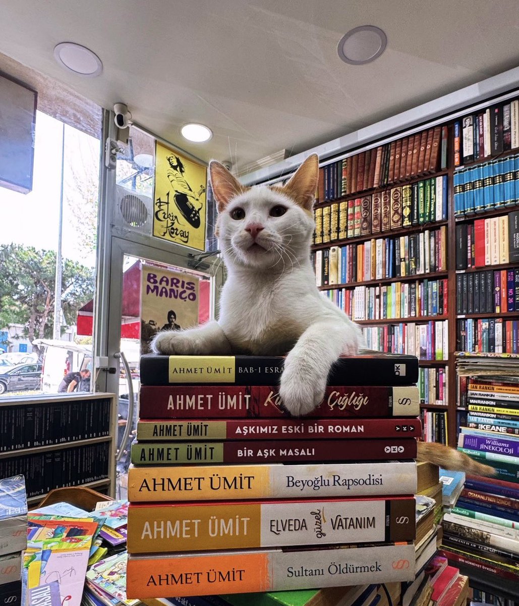 baskomsernevzat's tweet photo. "Kitapları severim, Ahmet Abimin kitaplarını bir başka severim..." Günaydın dostlar, iyi haftalar kedilere, kuşlara, köpeklere ve insan kalmayı başaran herkese... @tapinaksahaf https://t.co/3jACH7DqvQ
