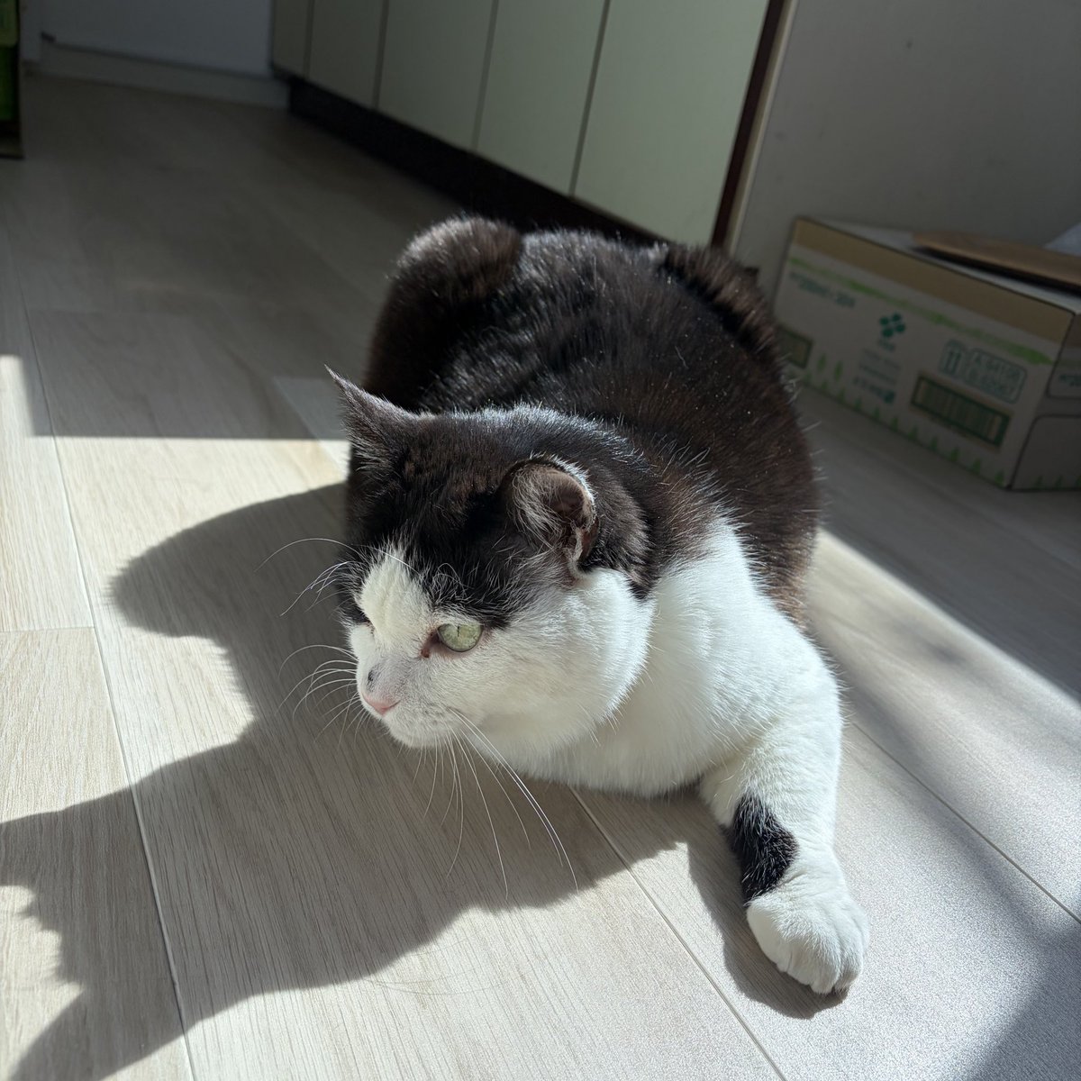 株式会社日章 tweet media