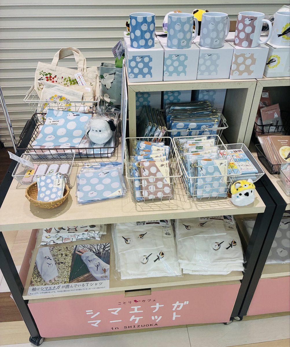 シマエナガマーケット静岡 本日Open @petbox PET BOXさま