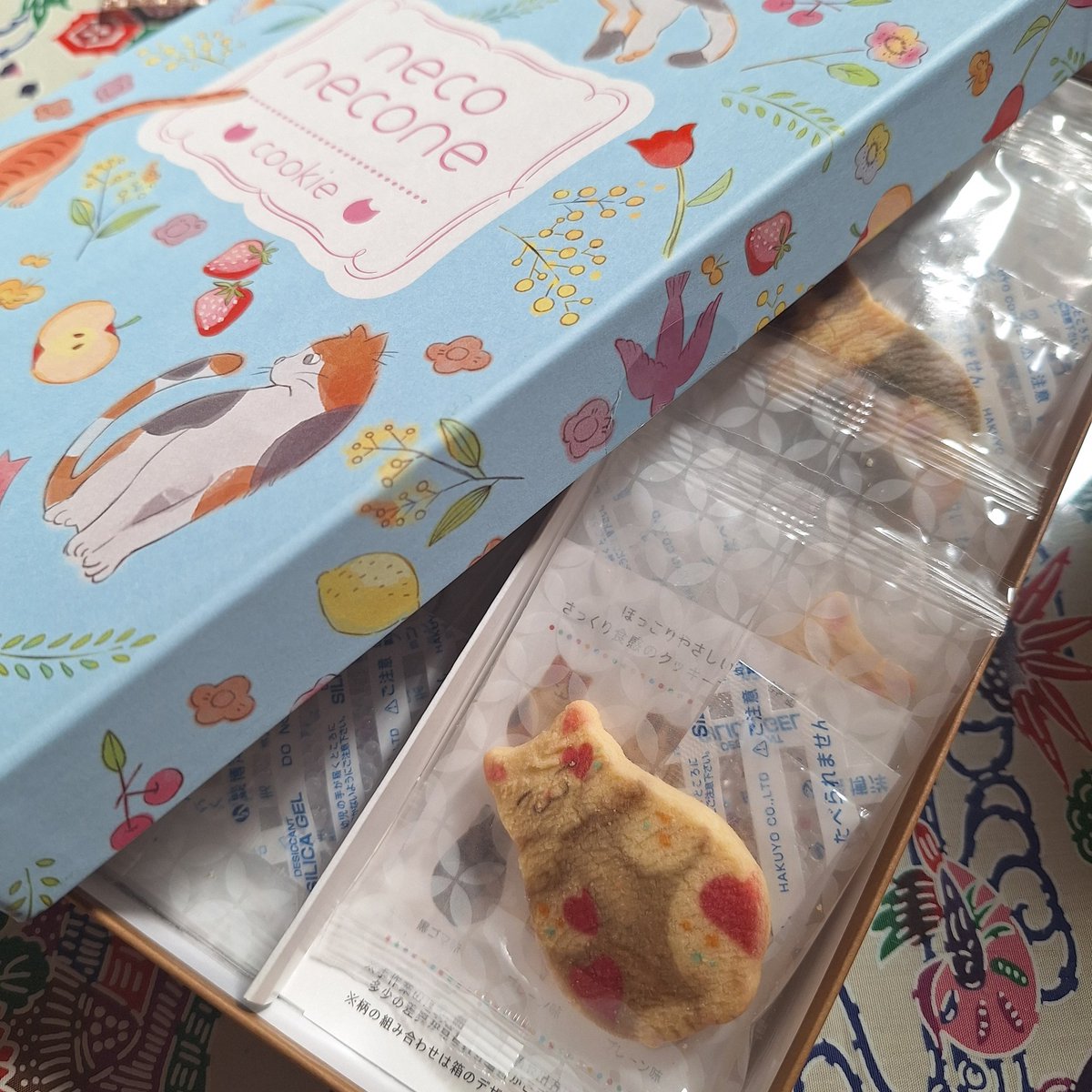 Saori KUBOTA tweet media