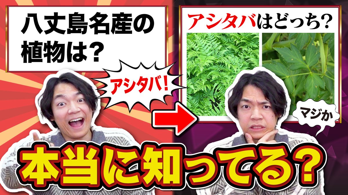 クイズプレゼンバラエティー Qさま!! 20 10 19