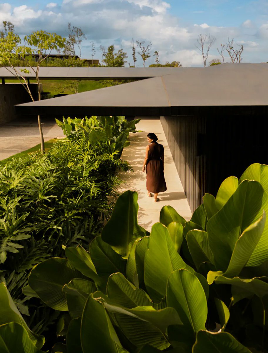 4AAAAart's tweet photo. DRP House by Jacobsen Arquitetura

São Paulo, Brazil 🇧🇷 https://t.co/pfbl6LJDXx