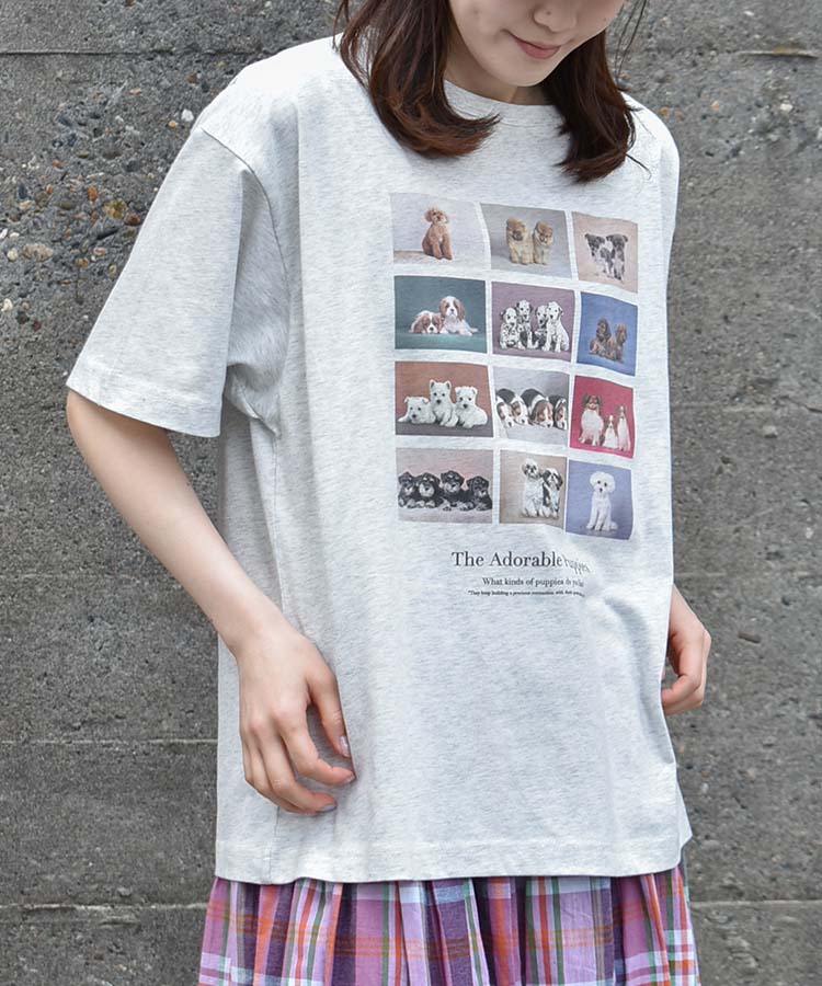 Bleu Bleuet/ブルーブルーエ【公式】 tweet media
