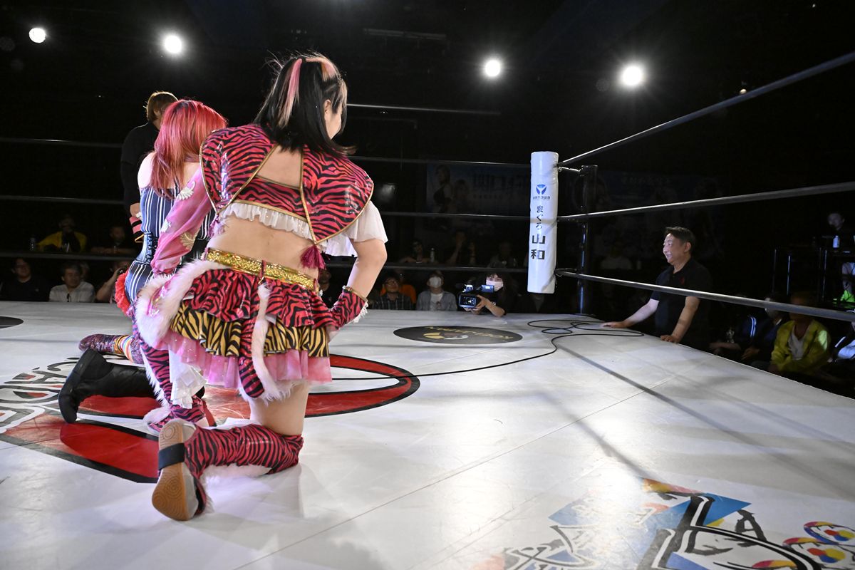 プロレスTODAY/楽しめるプロレスNEWSサイト tweet media