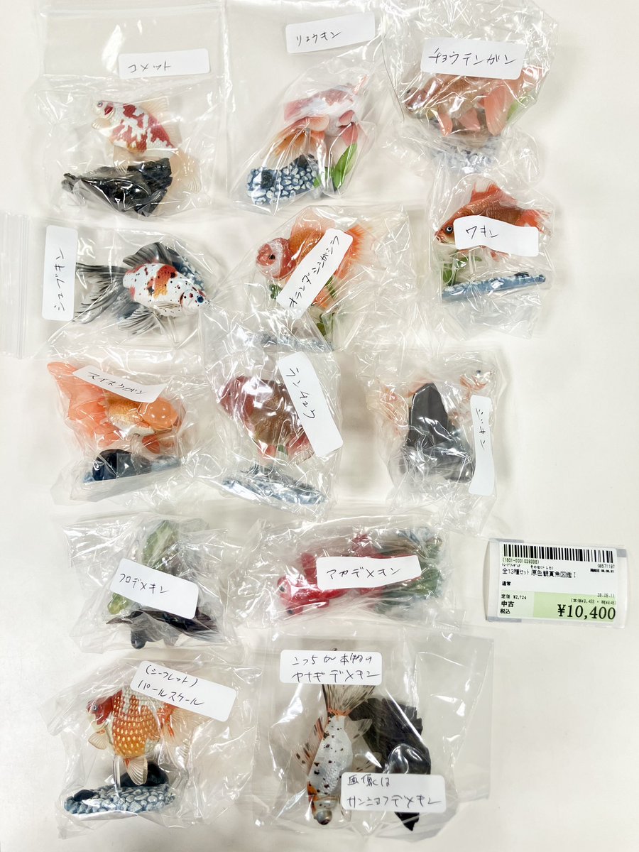 🐟️商品入荷情報🐟️】 身近な観賞魚でありながら、 本格的な