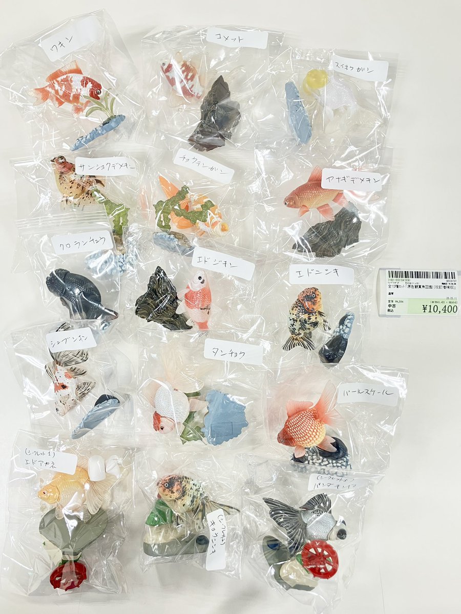 🐟️商品入荷情報🐟️】 身近な観賞魚でありながら、 本格的な