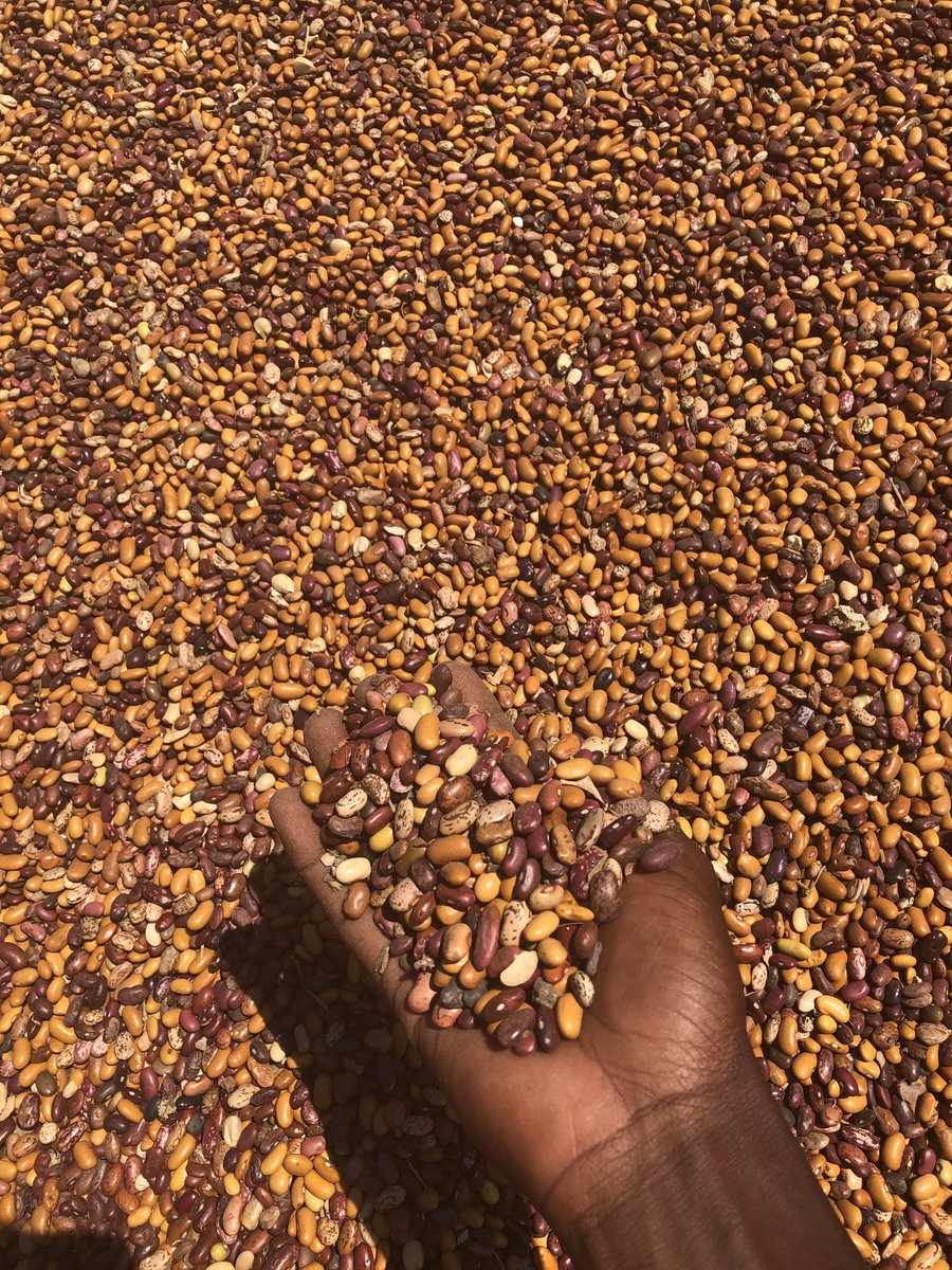 Sell and buy Beans 🫘. 🇺🇬 tweet media