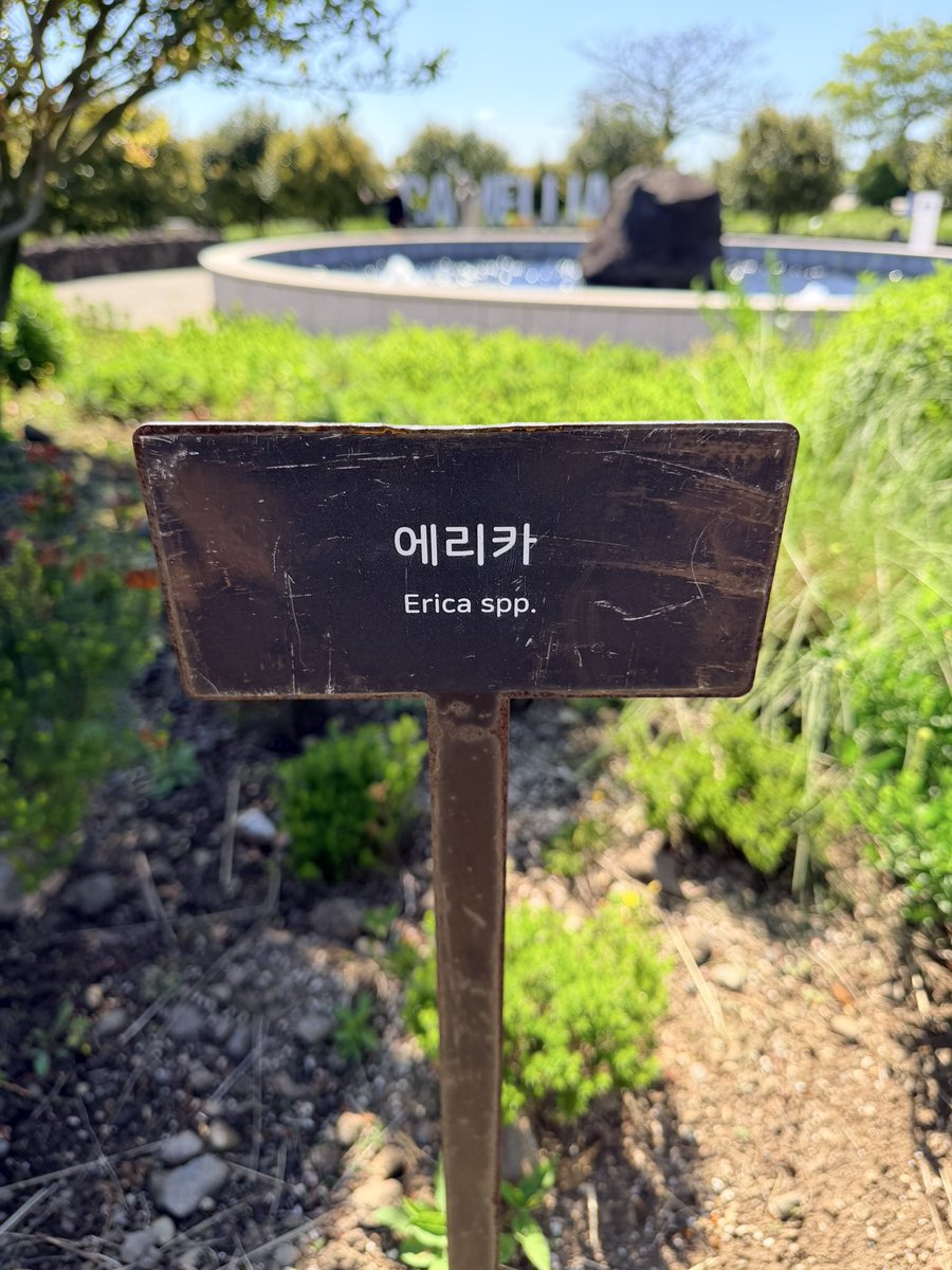 kimjaejoong tweet media