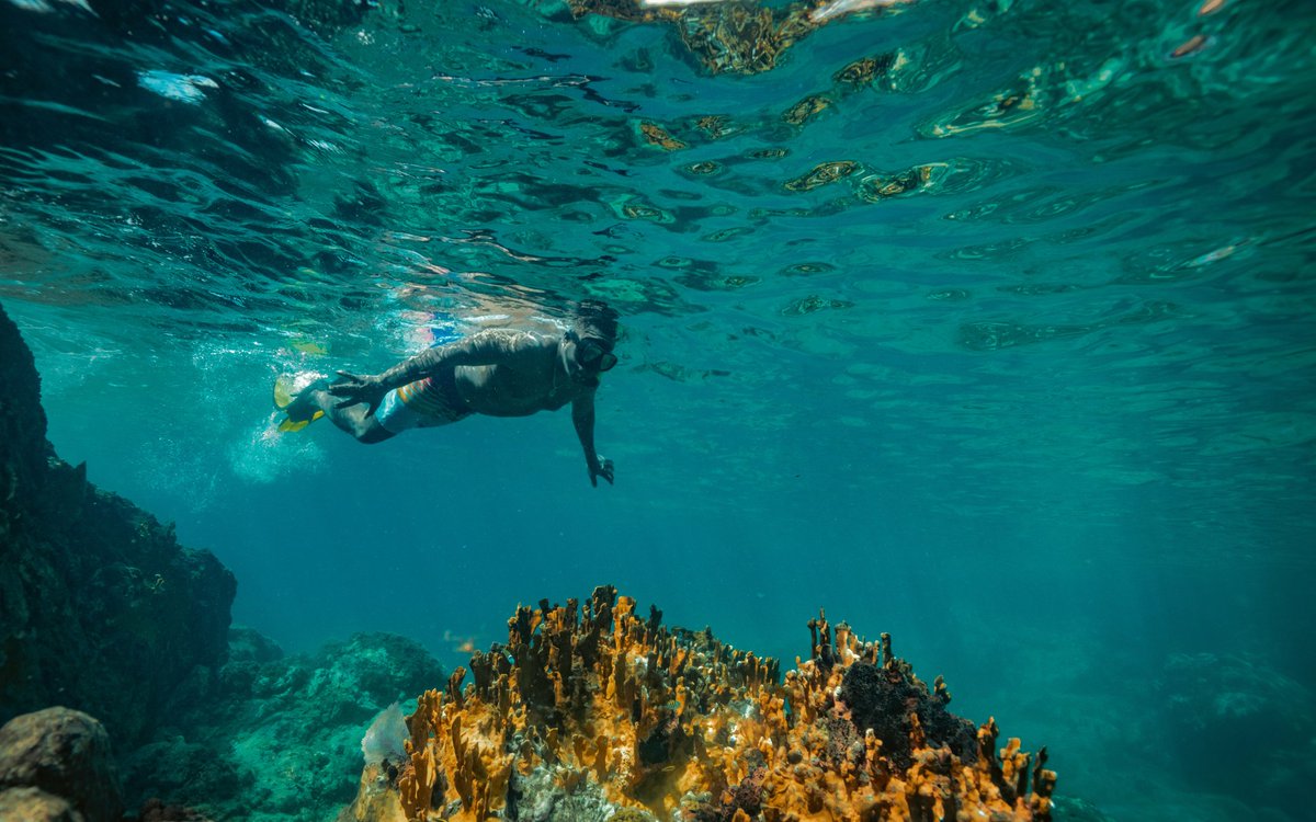 Visit USVI – U.S. Virgin Islands Dept. of Tourism tweet media