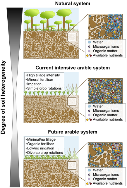 Molecular Plant & Plant Communications tweet media