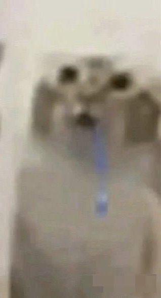 ter o debuff de babar dormindo faz eu me sentir esse gato sempre