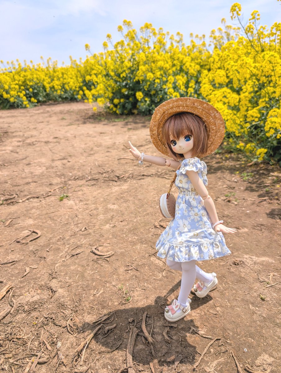 りんごちゃん様411専用 あざくら もぎたて♥りんごちゃん 720ml/1800ml｜日本酒専門店 - いそ