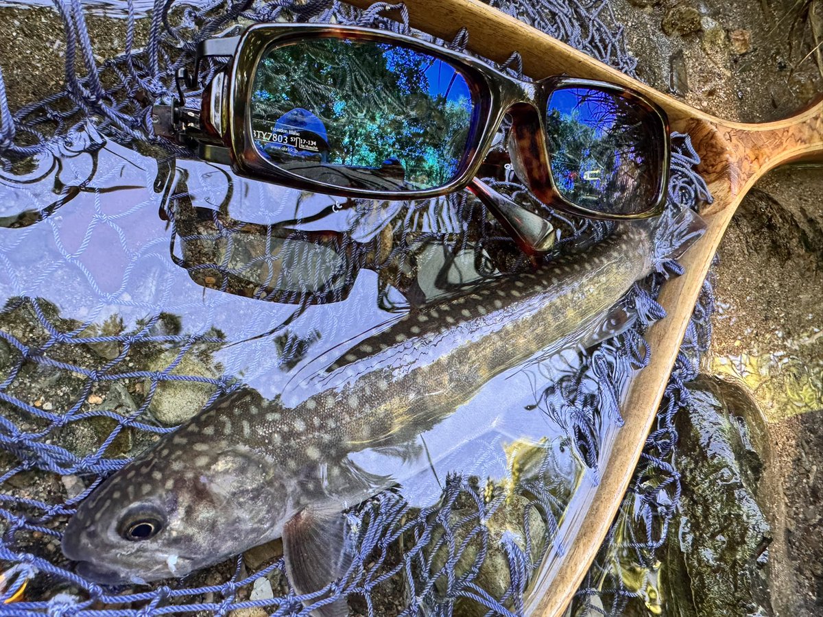 fishing3224's tweet photo. やっと釣りに行けた、、、笑
#workszero https://t.co/SDakJJvJPH