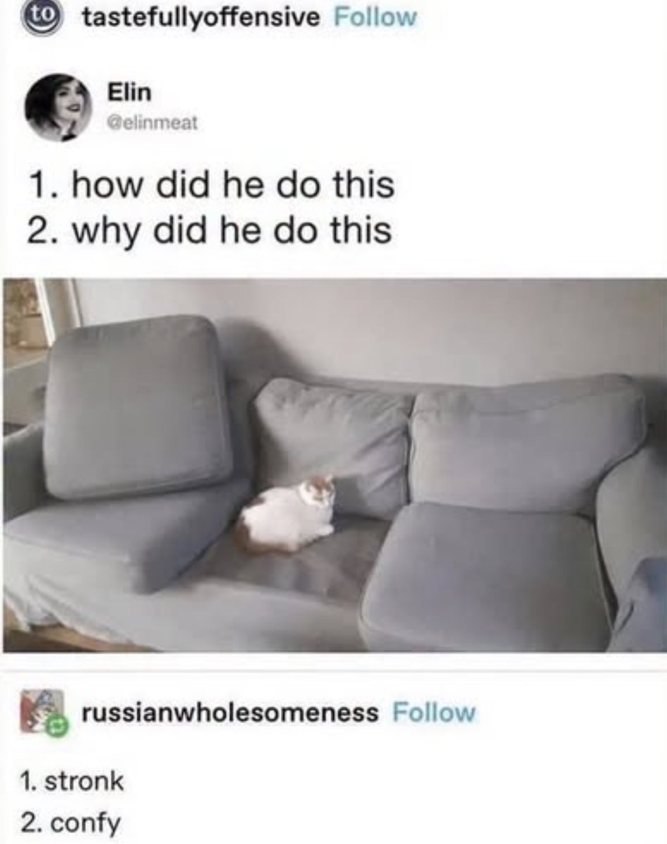 Respectful Memes tweet media