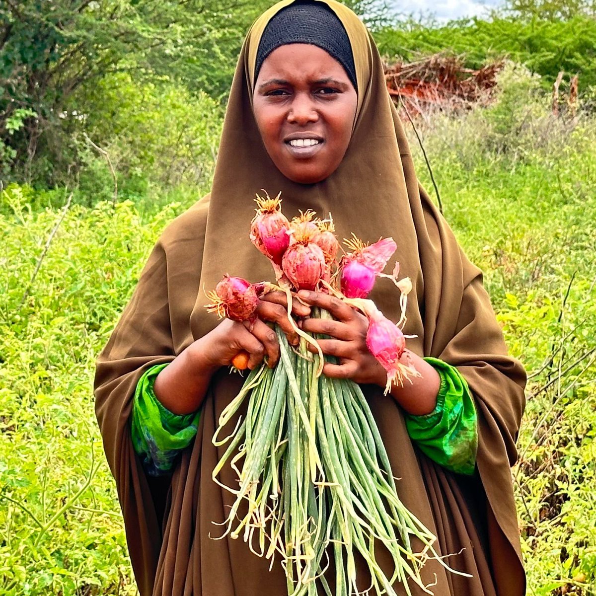 RACIDA_Ngo's tweet photo. Hanaano Programme : Celebrating Mothers Building Resilient Communities | #ManderaTriangle.
This Mother’s Day, we celebrate the strength, resilience and dedication of mothers who continue to nurture healthier families and stronger communities across the rural areas. The photos capture mothers from the Iskufilan Mother-to-Mother Support Group #MtMSG in Ashabito, Mandera proudly standing in their communal garden, holding the fresh produce they have cultivated through collective effort and determination.
The vegetables they grow are improving household nutrition by providing healthier meals for their children and communities, while surplus harvests are sold to generate income and strengthen household stability.
Beyond food production, the garden represents dignity, self-reliance, and hope for mothers working tirelessly to secure a better future for their families.
Through the Hanaano Programme, implemented by @RACIDA_Ngo in partnership with @Concern and funded by @Irish_Aid, women are transforming communal spaces into sustainable livelihoods, improved nutrition outcomes, and lasting community impact.