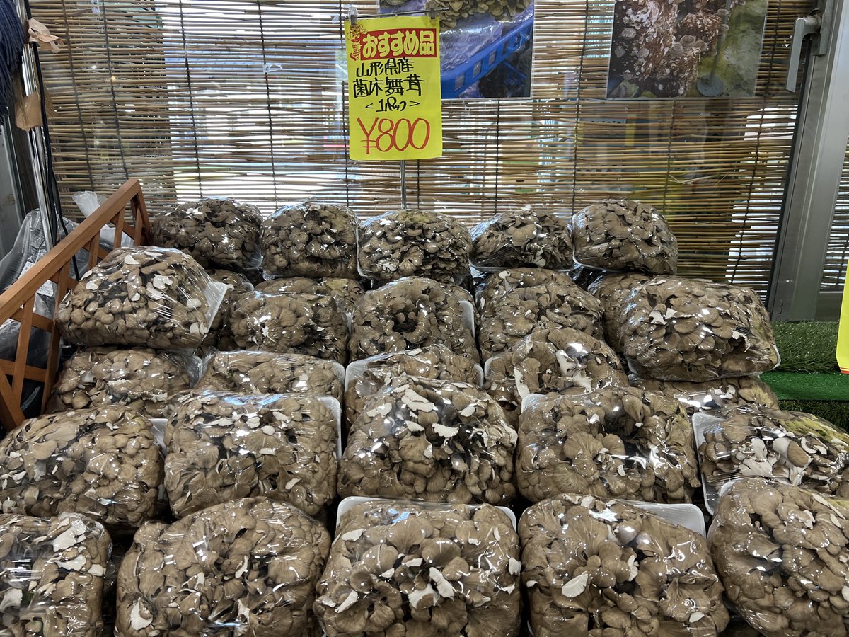 namec0's tweet photo. 車で山形うろうろする機会のある人は「道の駅 いいで（めざみの里）」超おすすめ

・やばいクオリティの山菜が山ほど売ってる（写真のウドやばい）
・激安めちゃデカ舞茸
・土着加工食品どっさり
・売り場の一角に手編みあけび蔓のバッグ

ローカルお土産も地酒もたっぷり https://t.co/zSUaruO0Tb