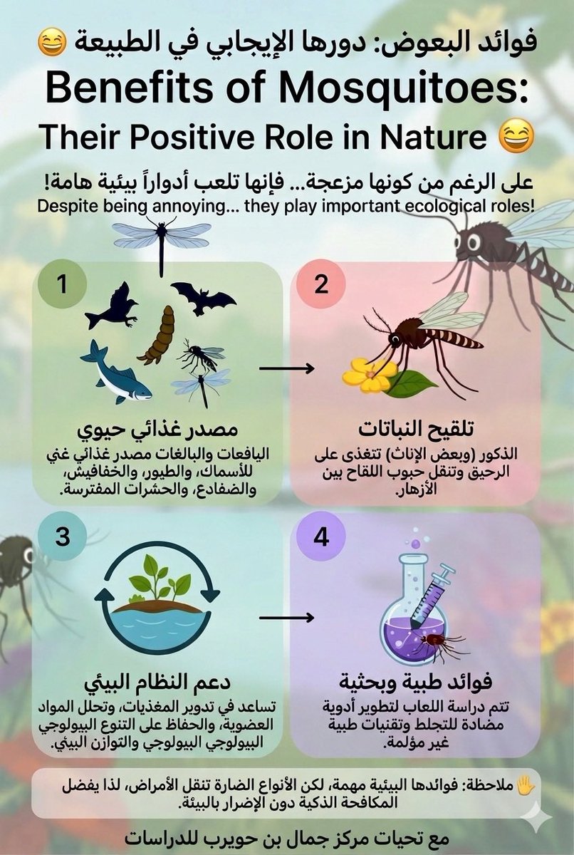 JamalBnHuwaireb's tweet photo. 🦟 هل تعلم أنّ البعوض له فوائد مع كثرة إزعاجه للبشر؟

🐟 غذاء للأسماك والطيور
🌼 يلقّح النباتات
♻️ يدعم النظام البيئي
💊 لعابه يُستخدم في أبحاث طبية

👈الطبيعة متوازنة… والمكافحة الذكية للأنواع الضارة أفضل من الإبادة 🌿 https://t.co/6BhNK2Sw37