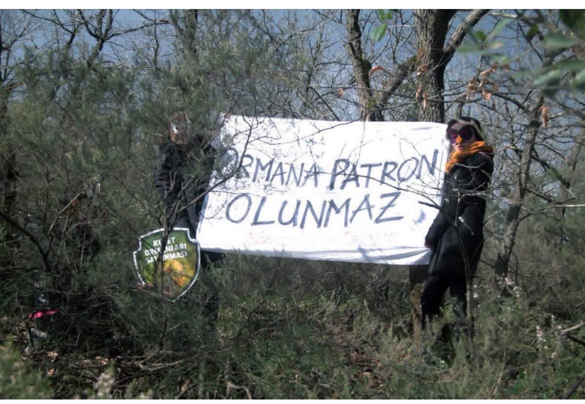 Recepsamuncu1's tweet photo. Fatih Sultan Mehmet’in “Ormanlarımdan bir dal kesenin başını keserim” dediği Belgrad Ormanı’nda binlerce ağaç daha kesip taş ocağını büyütmek için harekete geçtiler.

Kesecekleri alanın “muhafaza ormanı” statüsünü de kaldırdılar. https://t.co/cRZ6LRasFr