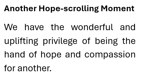 Dave Hopwood tweet media