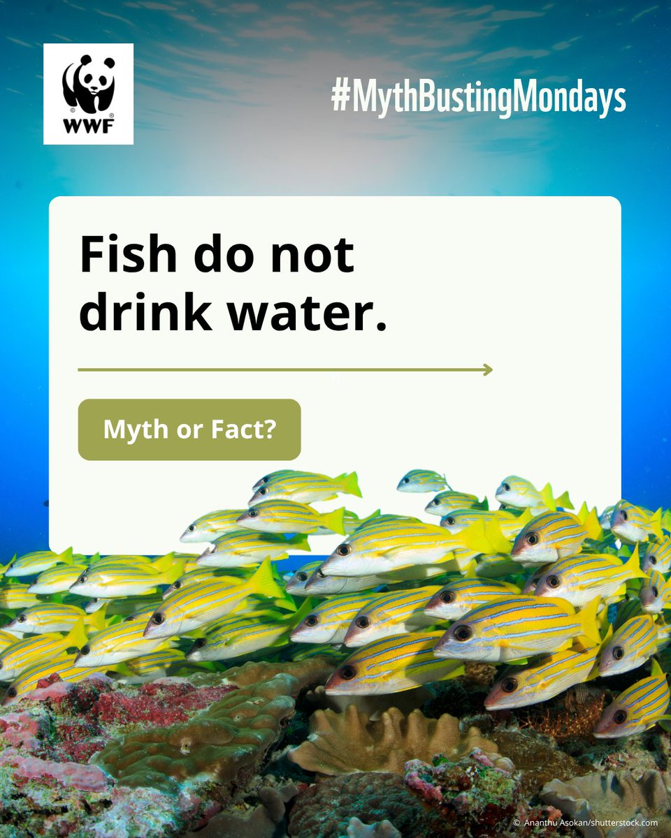 WWF-India tweet media