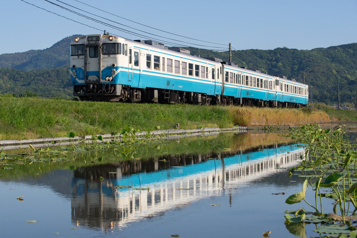 ef80_39's tweet photo. 出張侍、徳島へ。
帰りの集合時間前に、四国色のキハ47を。
そしたら、一番最初にタラコが！
最後に来たのは、検査明け間も無い？
綺麗なキハ47でした。 https://t.co/mJ3311s18w