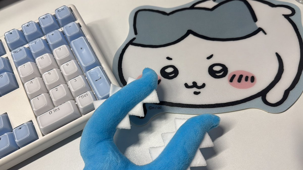 고유사ꉂꉂ(ᵔᗜᵔ*)🦊🩵 tweet media