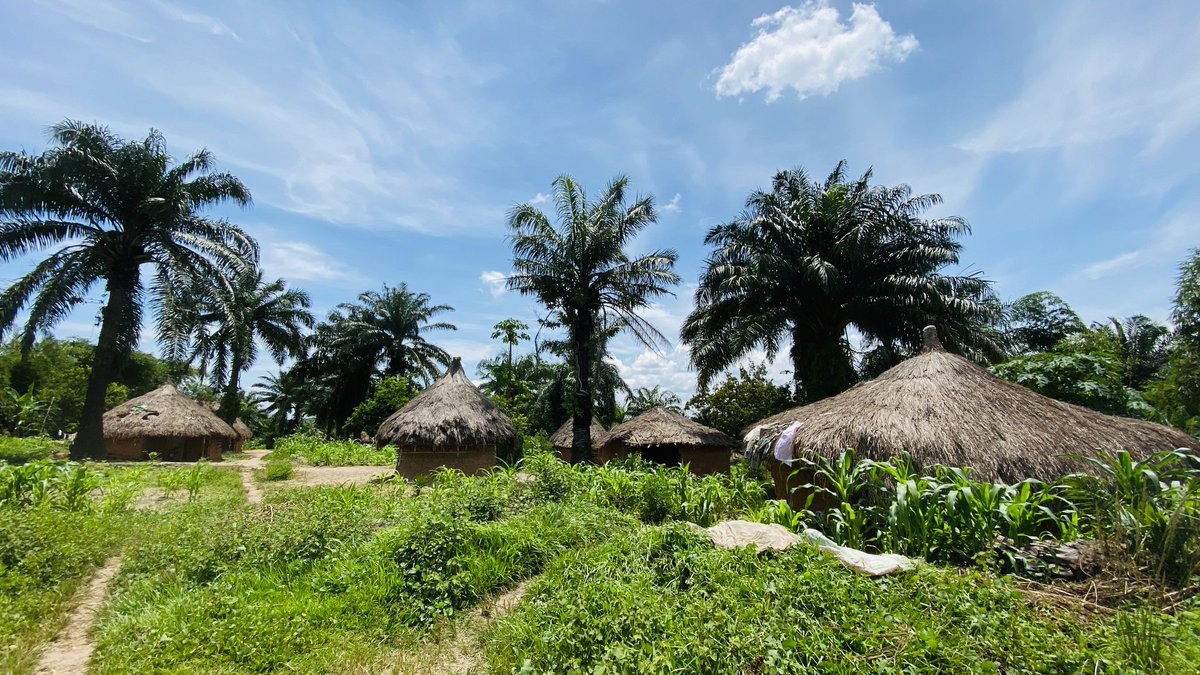 VisitKasaiDRC's tweet photo. 📍#Kasaï_Oriental | RDC 🇨🇩
     #Visitkasaï | #Visitcongo 🏝️

Mon beau village : là où les cases, les sourires et les traditions gardent encore toute leur beauté authentique 🛖

Explorer, voyager, s'aventurer et découvrir le Grand Kasaï 🏝️ https://t.co/8qzKGjAtAn