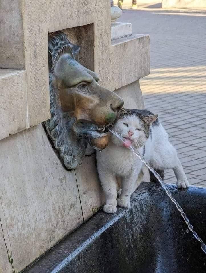 𝓝𝓲𝓽𝓲𝓼𝓱 𝓚𝓾𝓶𝓪𝓻 (@ntshsharmantis1) on Twitter photo 