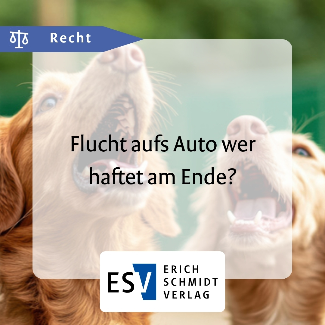 ESV_Recht's tweet photo. 🚗 🐕 Sprung aufs Auto aus Angst vor Hunden – wer haftet, wenn ein Fluchtreflex rechtlich relevant wird? 👉 https://t.co/mDBNsgFYQr

#ESV #Recht #Haftung #Tierhalterhaftung #Schadensersatz https://t.co/GCqaOeqUQL