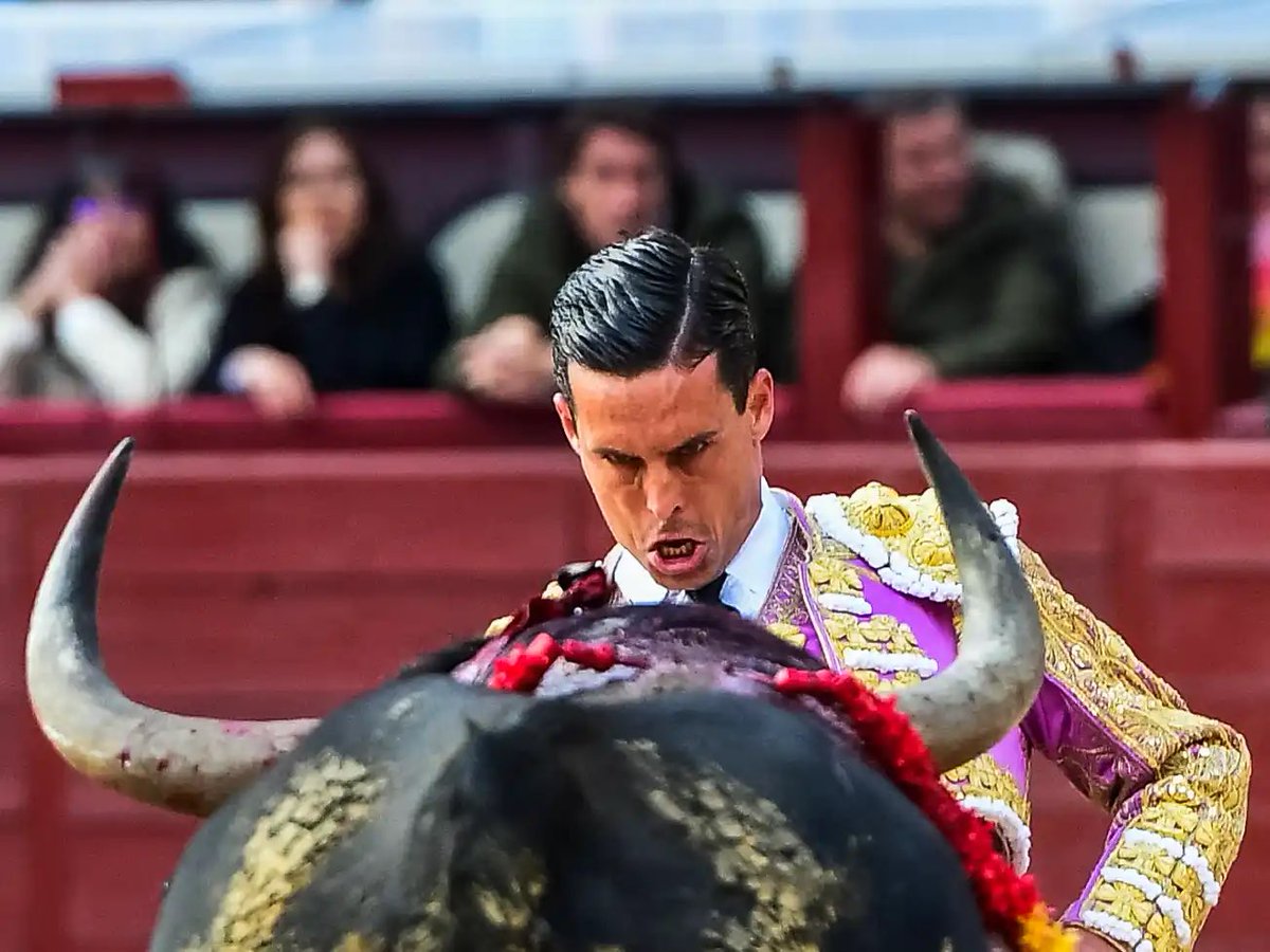 zabaladelaserna's tweet photo. David Galván, con la suerte en contra -lidió dos sobreros de Bohórquez-, sufrió un percance -que pudo ser peor-, pero ofreció una solvente imagen de seguridad. Tarde cabal la suya. @ElMundoToros https://t.co/gyglKrHEgU