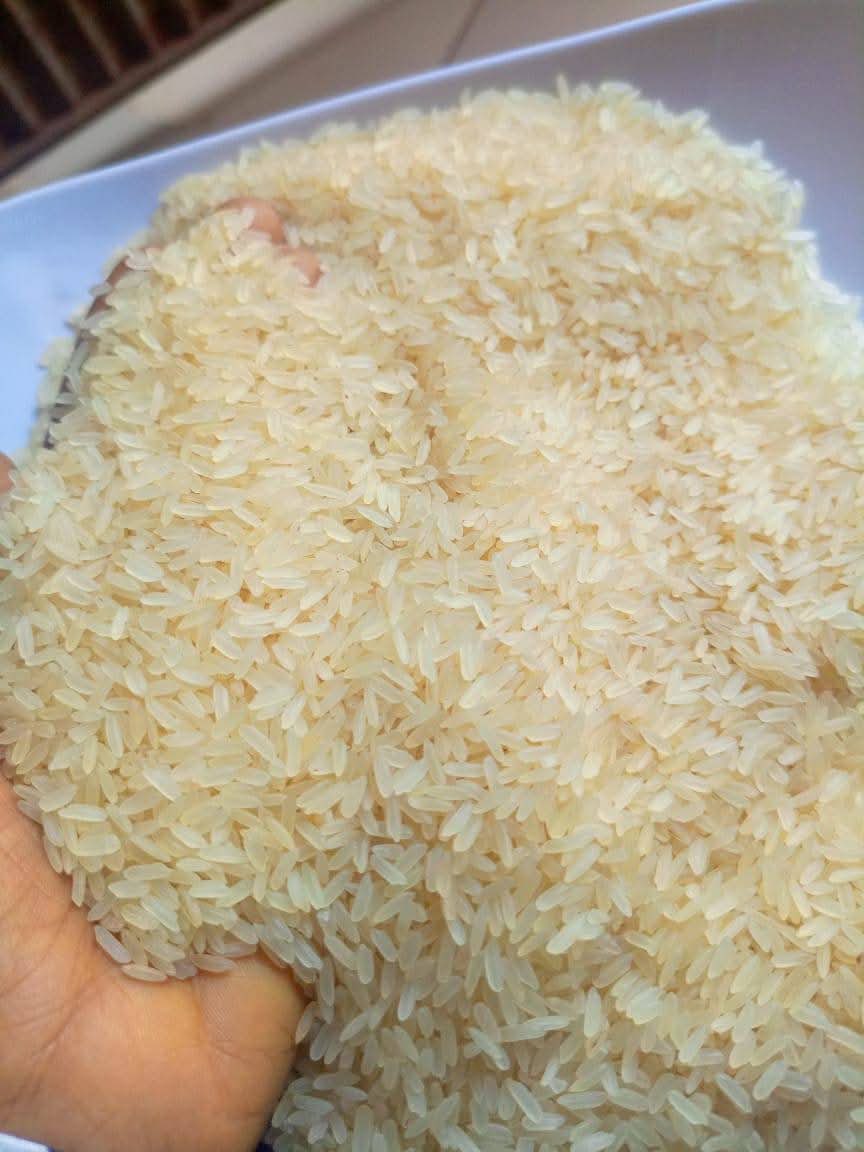 Margaretdonaldj's tweet photo. Good morning X family, As you step today pls don’t forget to tell someone close to you that I sell premium foreign rice that comes out one one after cooking in Abuja at company prices
50kg 56k bulk
25kg 29k
10kg 14k
5kg 7k
📞08177458233
📍Abuja 
Help me retweet please 🙏 https://t.co/biOAkHnHq3