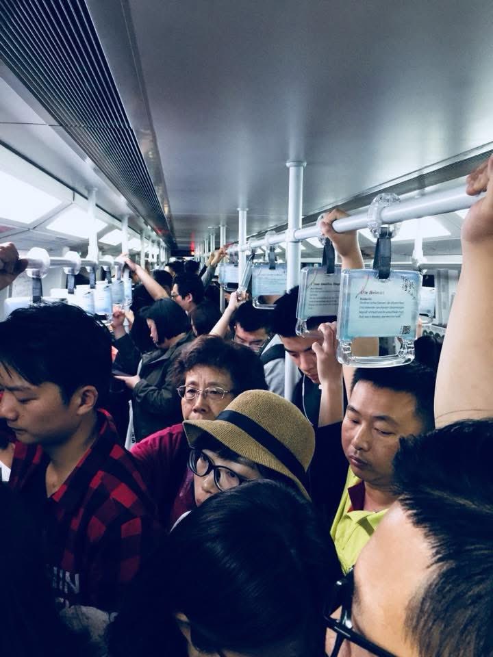 𝐒𝐇𝐎𝐖𝐓𝐘𝐌𝐄 🇨🇳🇺🇸⚜️ tweet media
