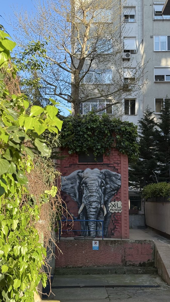hrmnng's tweet photo. 🐘 https://t.co/F4GDuQNwrF