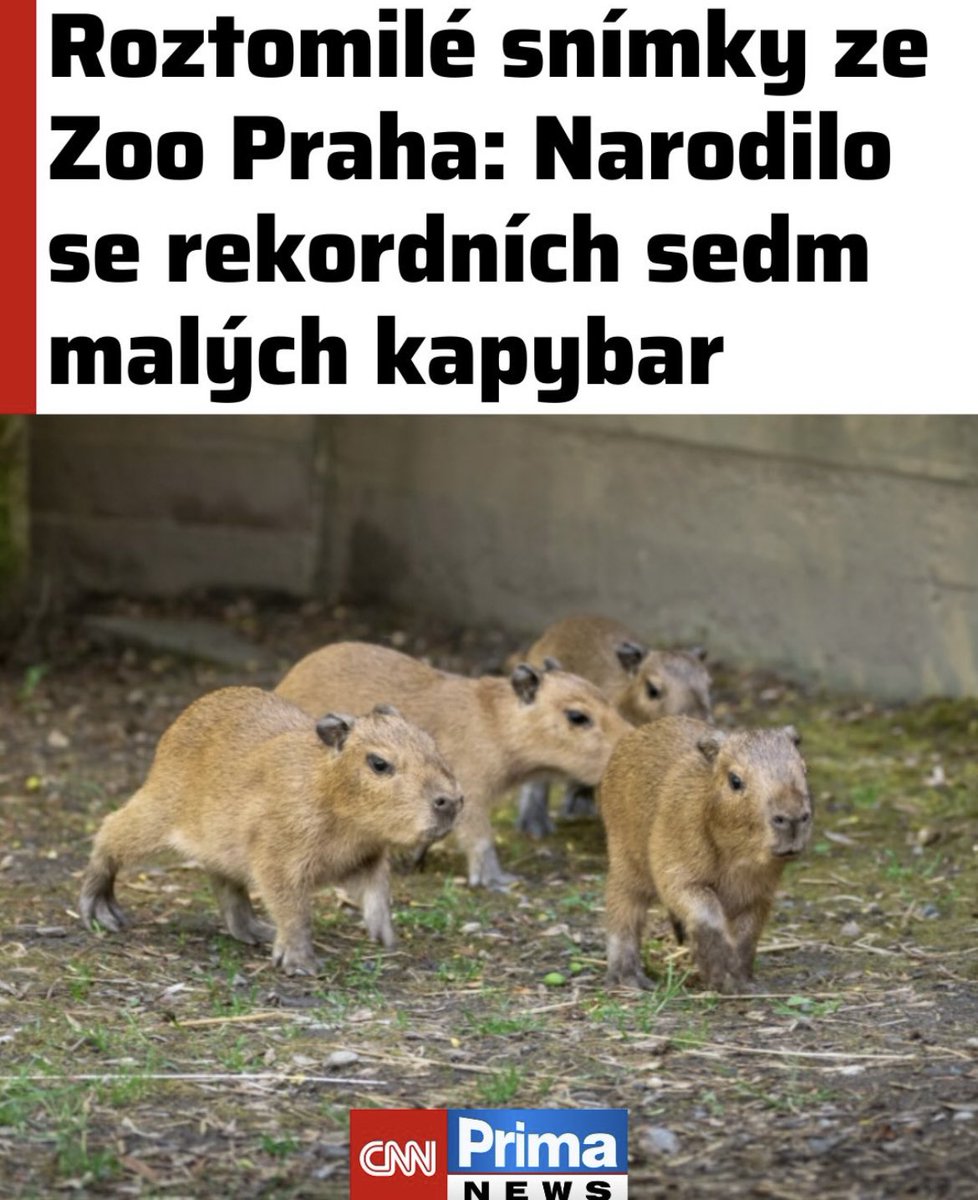 Vasyl Kapustej tweet media