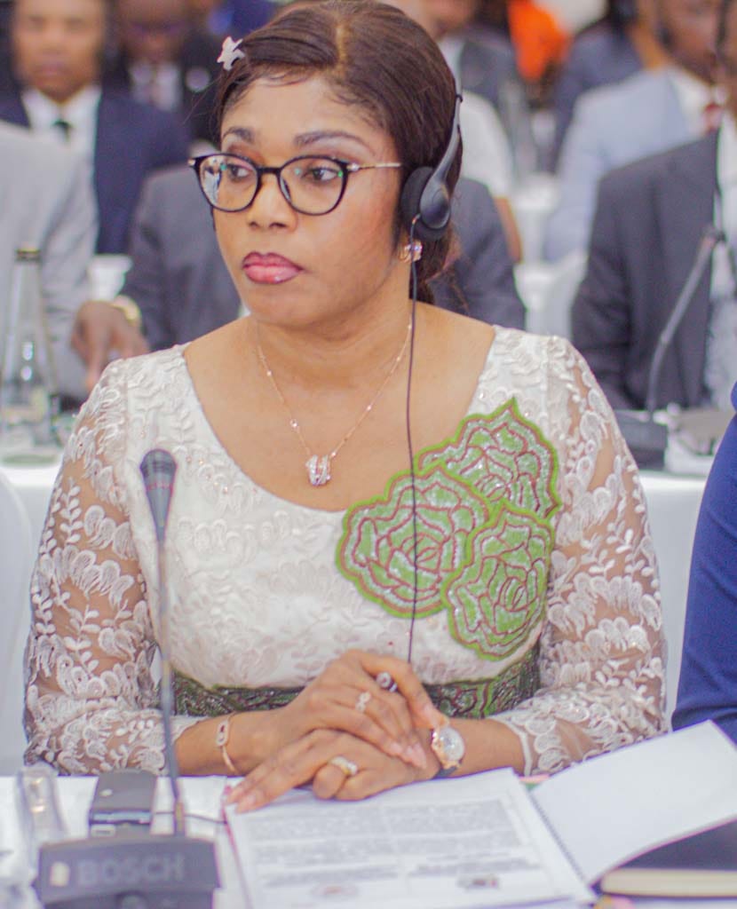 Ministère des Hydrocarbures RDC tweet media