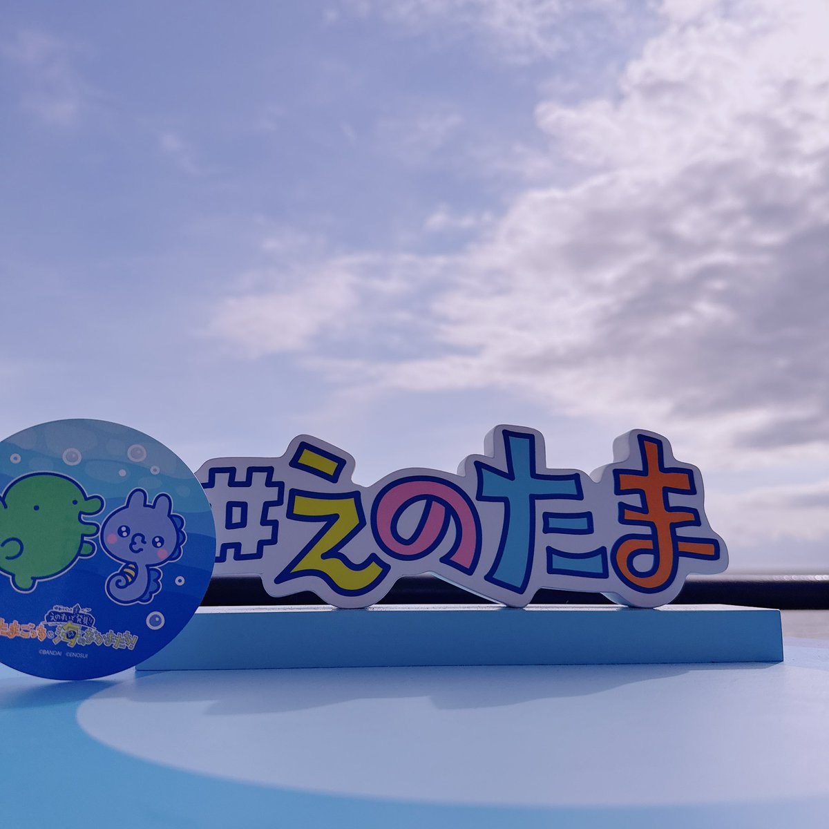 Chacha__Mori's tweet photo. #えのたま

まめっち当たらず…😇 https://t.co/pLJ9qUeq9Z
